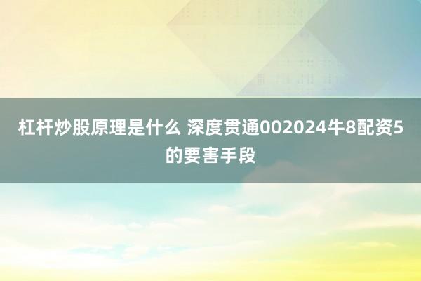 杠杆炒股原理是什么 深度贯通002024牛8配资5的要害手段